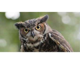 Owl Tile Mosaic -002- Sublimated Decor, Interchangeable Tiles, Display Options Available