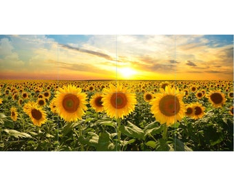 Sunflower Field Tile Mosaic -002- Sublimated Decor, Interchangeable Tiles, Display Options Available