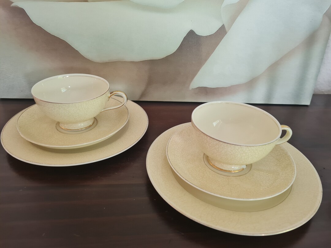 Thomas Tea Set Polished Gold Coffee Set Porcelain Early 50s Etsy