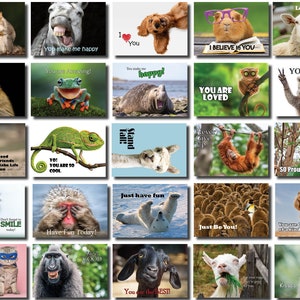 Mini lancheira motivacional e inspiradora para crianças, cartões engraçados de animais