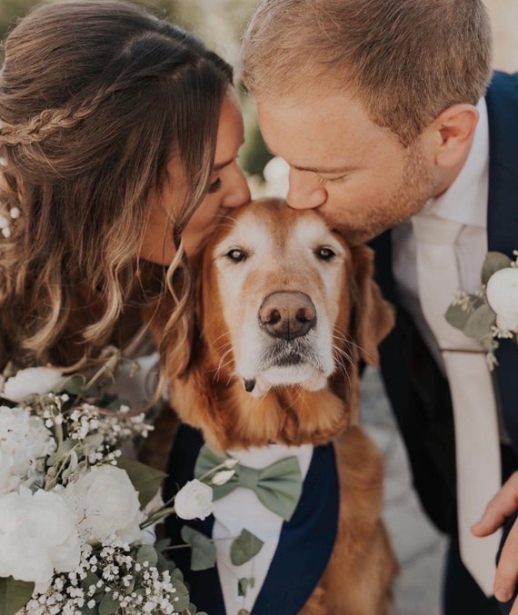 Dog ring bearer bow tie online