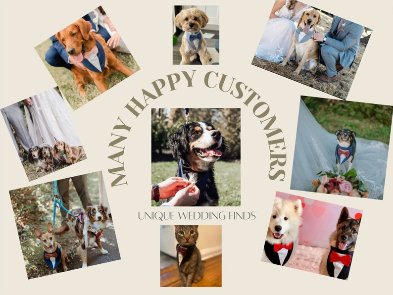 May include: A collage of photographs featuring various dogs and a cat wearing formal pet bow ties and tuxedo-style collars. The text reads MANY HAPPY CUSTOMERS and UNIQUE WEDDING FINDS. The pets are shown in outdoor and indoor settings.
