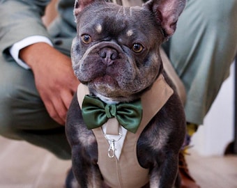 Tan Dog Tuxedo Harness with Satin Bow Tie, Custom Wedding Attire