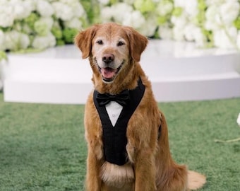 Dog Tuxedo Harness with Satin Bow Tie: Custom Wedding Attire