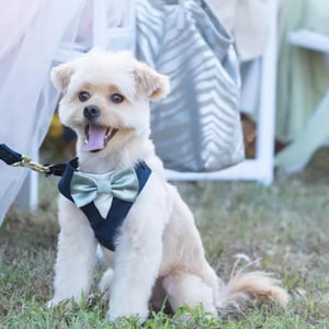 Dog tuxedo harness with satin bow tie, Custom dog tuxedo harness, Dog wedding attire, Dog wedding leash