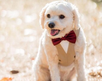 Tan Dog Tuxedo Harness with Satin Bow Tie, Wedding Attire