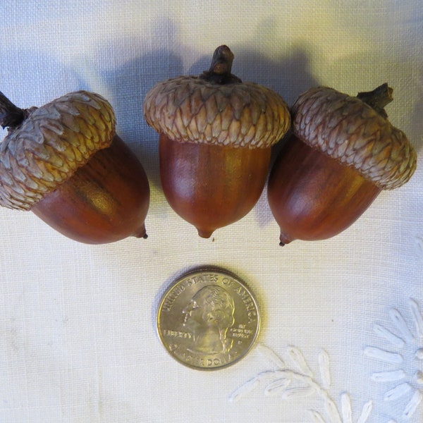 Lot of 18 or 30  Large to Extra large Red Oak Acorns with Caps for Crafts, Washed, Oven Dried, Hand Rubbed. Natural. Most about 1 inch size.