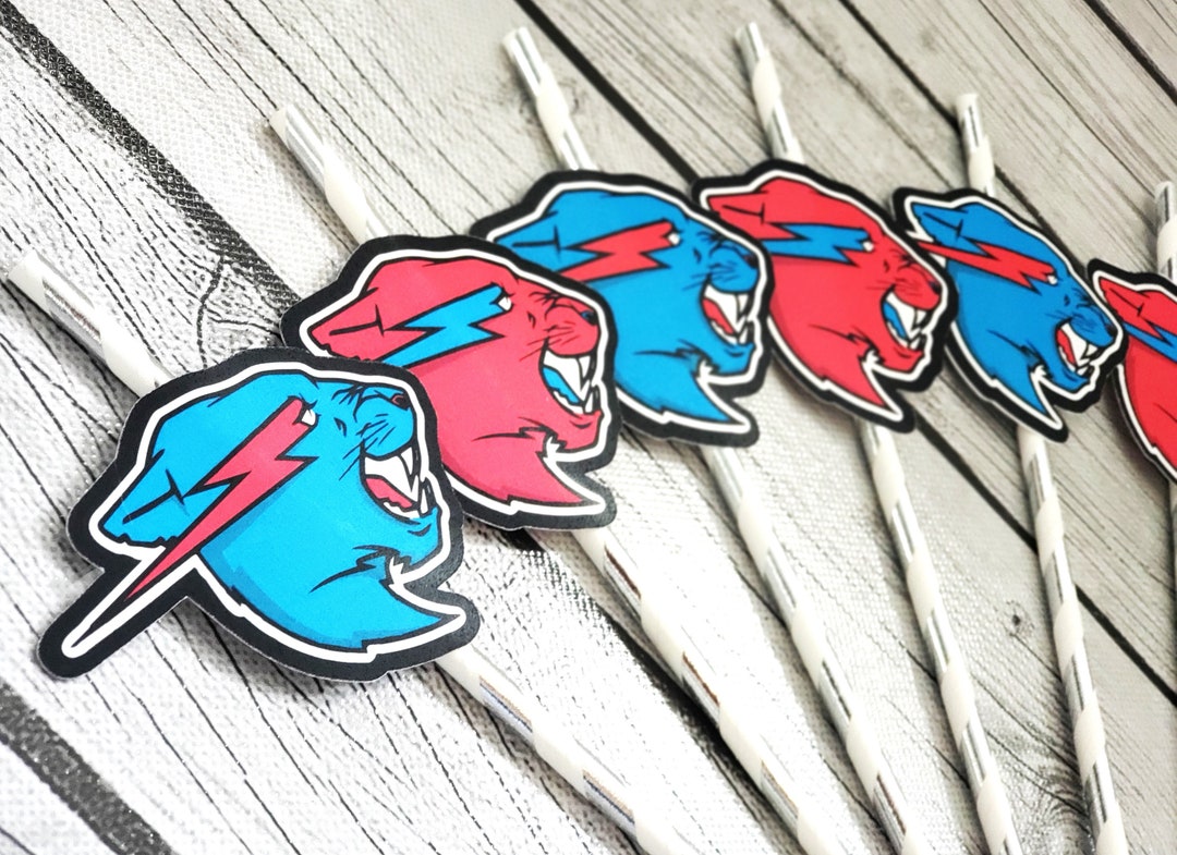 10pc Mr. Beast Party Straws - Etsy