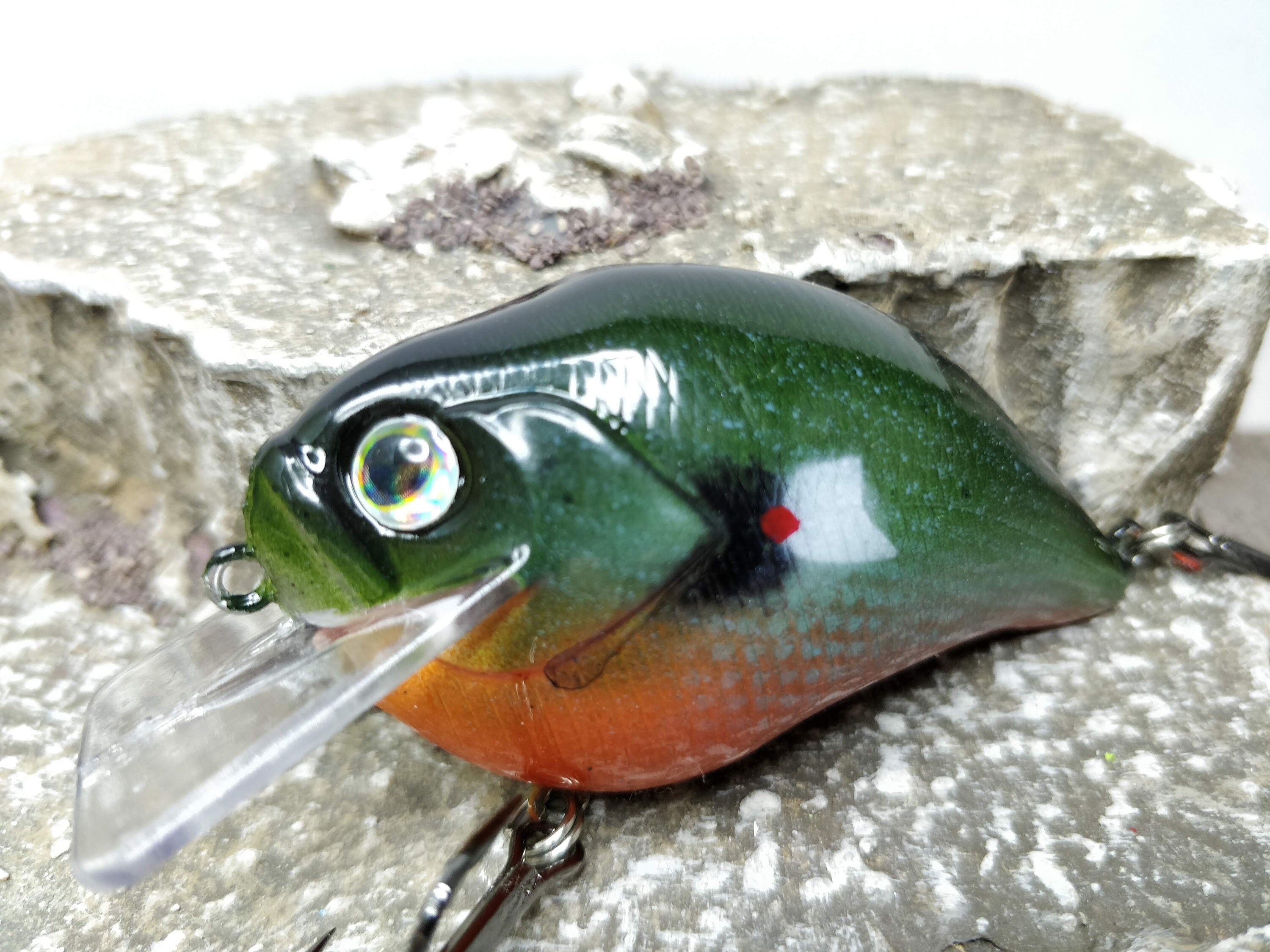 Custom One Knocker Wobbler Perch Crankbait fishing lure Etsy