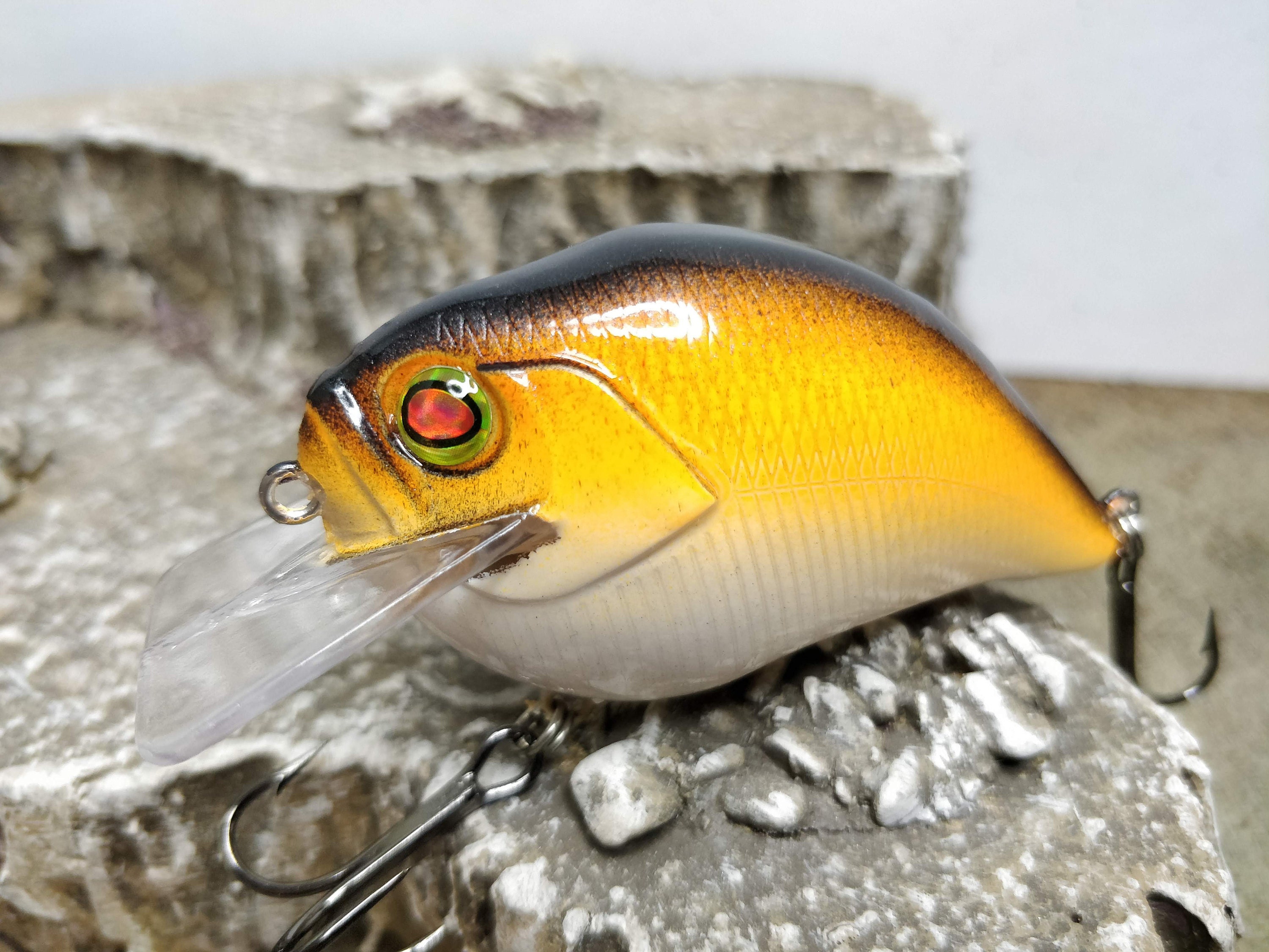 Custom One Knocker Wobbler Crankbait fishing lure Etsy