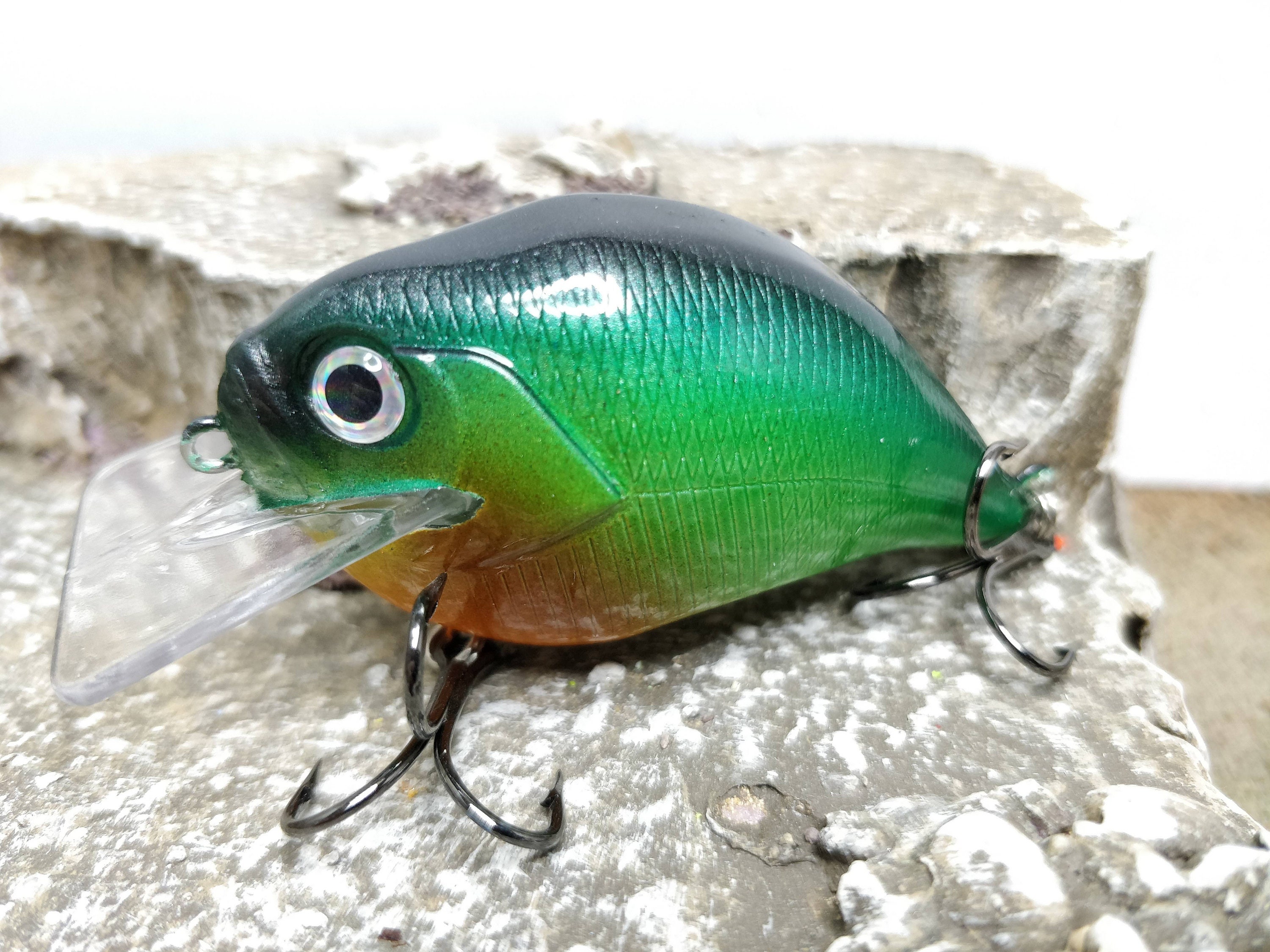 Custom One Knocker Wobbler Crankbait fishing lure Etsy