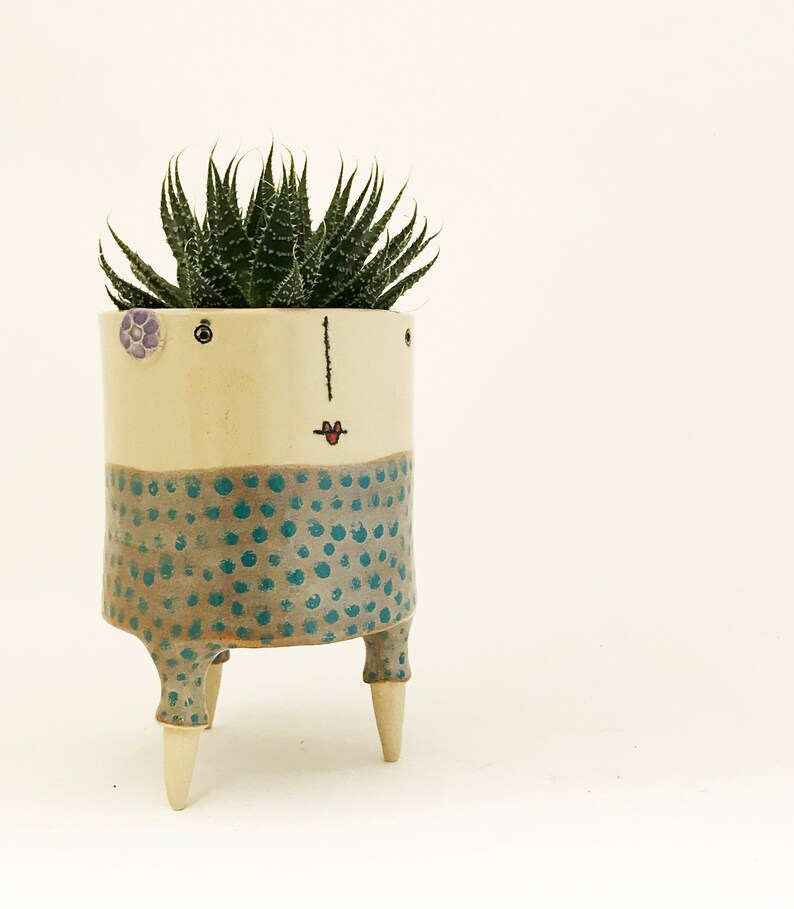 Succulent planter Face pot