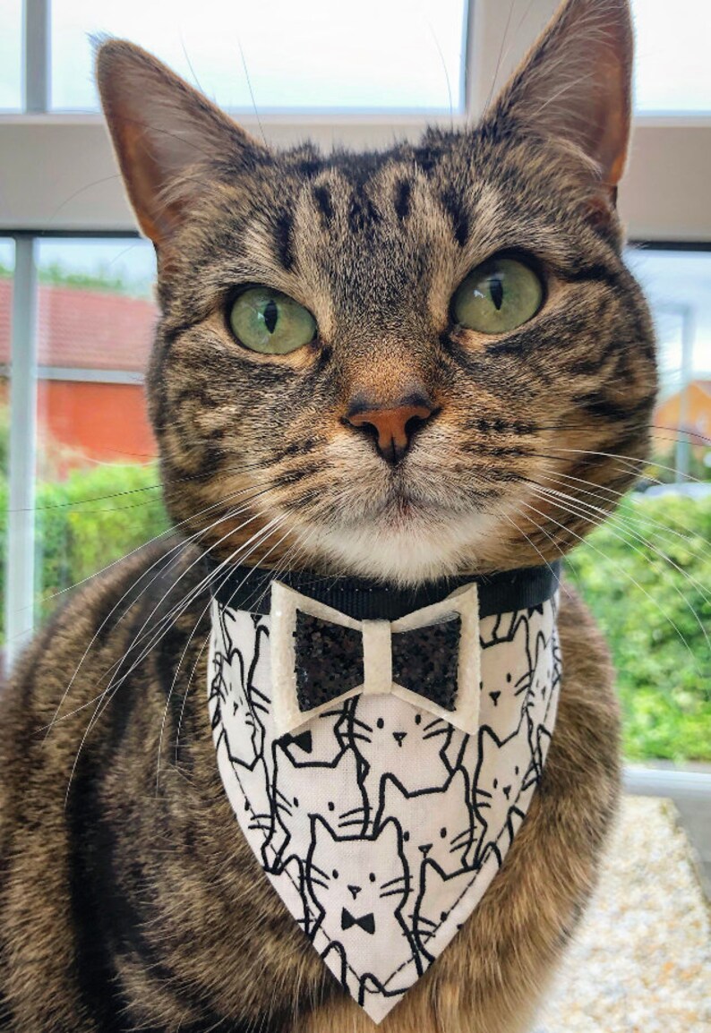 Tuxedo Kitty Bandana