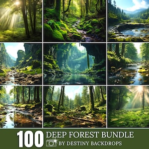 100 Deep Forest Digital Background Creative Composite Wild Forest Backdrop Tree Backdrop Nature Backdrop Photoshop Composite Forest Wall Art