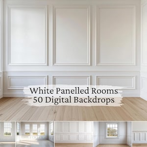 50 White Panel Room Digital Backdrops, Maternity Wedding Portrait Digital Overlays, Studio Photography Digital Background, Photoshop Overlay