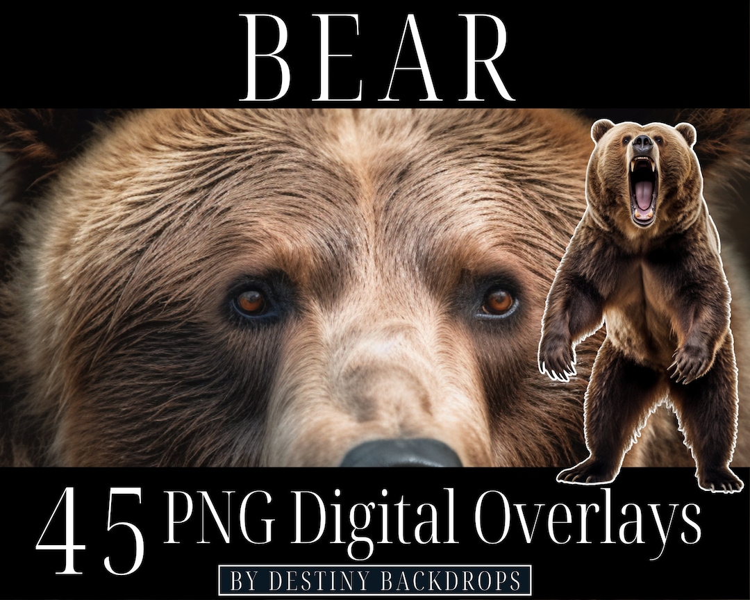 45 Bear Digital Overlays Grizzly Bear PNG Clipart Brown Bear Overlay ...