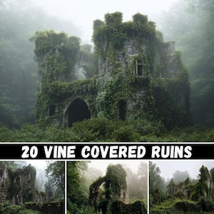 20 Vine Covered Ruins | Medieval Castle Digital Backdrops Bundle Enchanting Medieval Townscape Tavern Castle Backdrop Christmas Gift