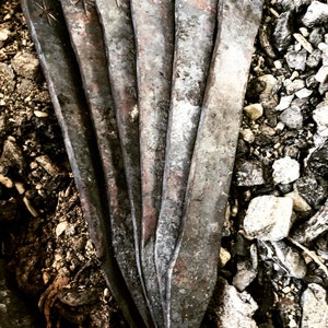 Hand forged throwing daggers