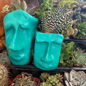 May include: Two teal green face-shaped planters with succulents. The planter on the left has a sad expression and the planter on the right has a neutral expression.