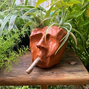 Large Terra Cotta Planter. Indoor or Outdoor. Any expression. Creative, unique one of a kind. Great as gift. Christmas, Holiday Gift. image 7