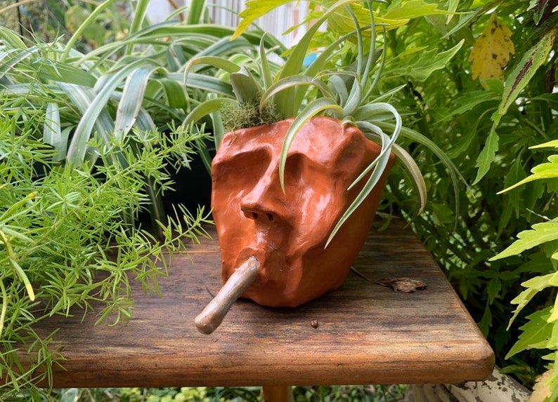 Large Terra Cotta Planter. Indoor or Outdoor. Any expression. Creative, unique one of a kind. Great as gift. Christmas, Holiday Gift. image 7