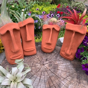 May include: Four terracotta face planters with air plants growing inside. The planters are arranged on a wooden surface with a variety of flowers in the background.