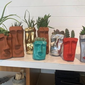 May include: A collection of seven terracotta face planters, each with a unique design and color. The planters are filled with various succulents and plants.