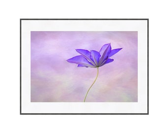 Purple Clematis Flower Wall Art, Printable Floral Digital Download, Contemporary Flower Photography for Home Decor