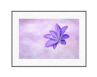 Purple Clematis Flower Photography, Printable Digital Download Botanical Print for Home Decor