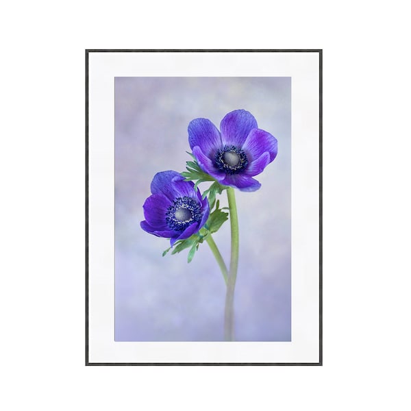 Purple Anemone Printable Photograph for Wall Decor, Instant Download Flower Photography, Modern Botanical Art