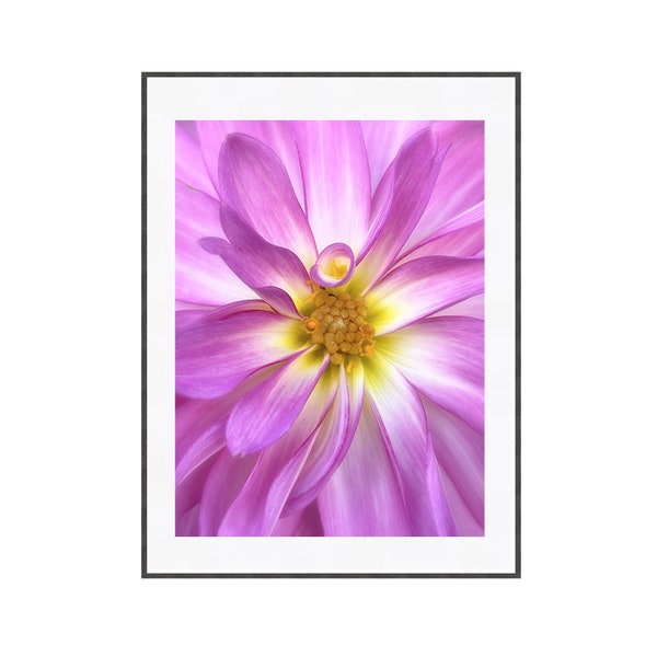 Pink Dahlia Macro Flower Photography, Digital Download Floral Wall Art, Printable Photo for Home Decor