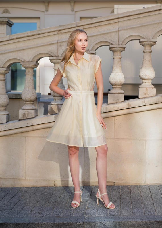 Casual Minimalist Mini Button-up Dress, Designer Sheer Summer