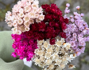 Glixia Marcela Bund Mix | zum dekorieren oder direkt zum binden | Trockenblumen Natur und bunt