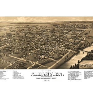 AlbanyGeorgia 1885 druckbare Wandkunst Vogelperspektive 60 x 36 Zoll Antike Karte