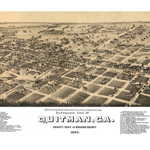 Quitman Georgia 1885 Printable Wall Art Color Bird's Eye View 24" x 36" Antique Map