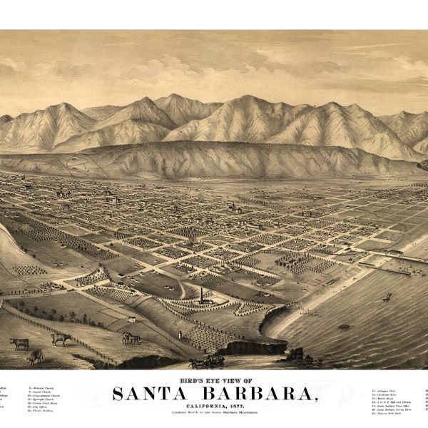 Santa Barbara California 1877 Printable Wall Art Color Bird's Eye View 24" x 36" Antique Map