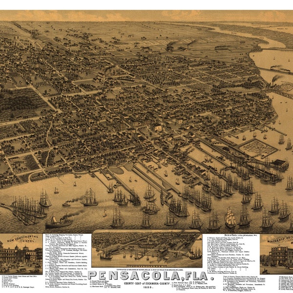 Pensacola Florida circa 1885 Printable Wall Art Color Bird's Eye View 24" x 36" Antique Map