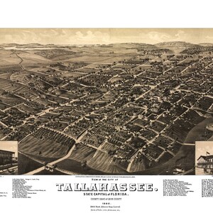 Tallahassee Florida 1885 druckbare Wandkunst Farbe Vogelperspektive 24 "x 36" Antike Karte