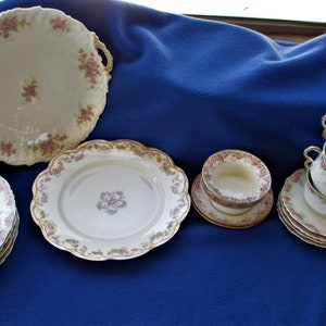 Limoges Pink China - Conjunto de 19 peças incompatíveis