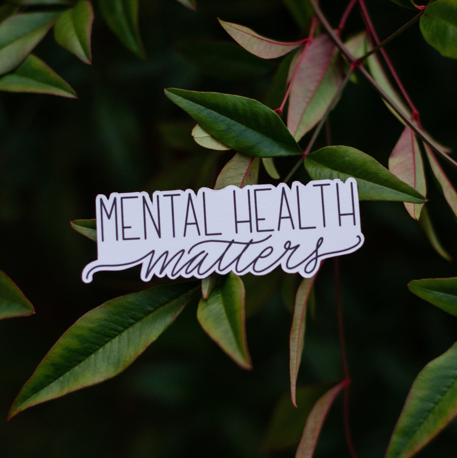 Mental Health Matters Sticker Water Resistant Vinyl Sticker Etsy