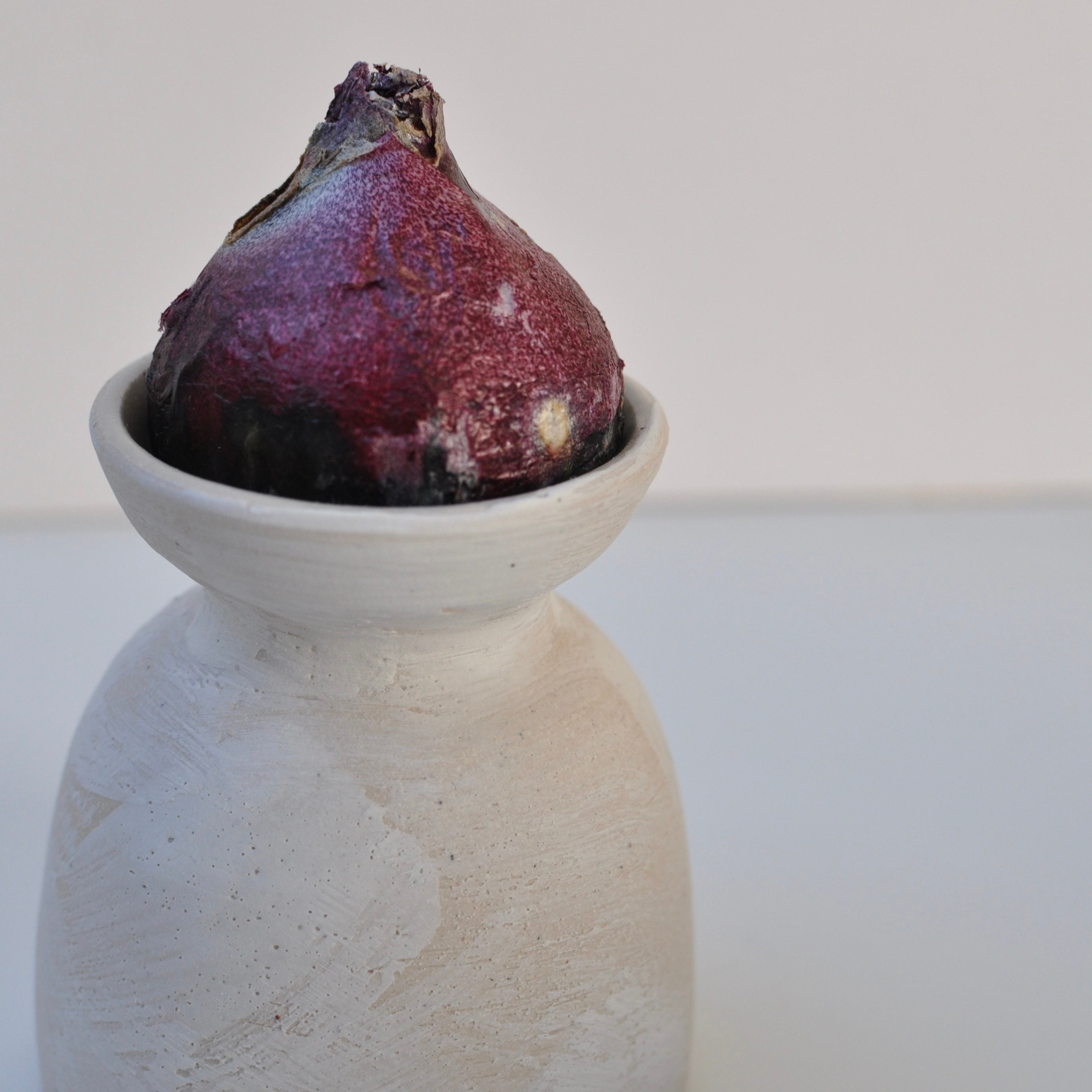 Hyacinth Bulb Vase Etsy