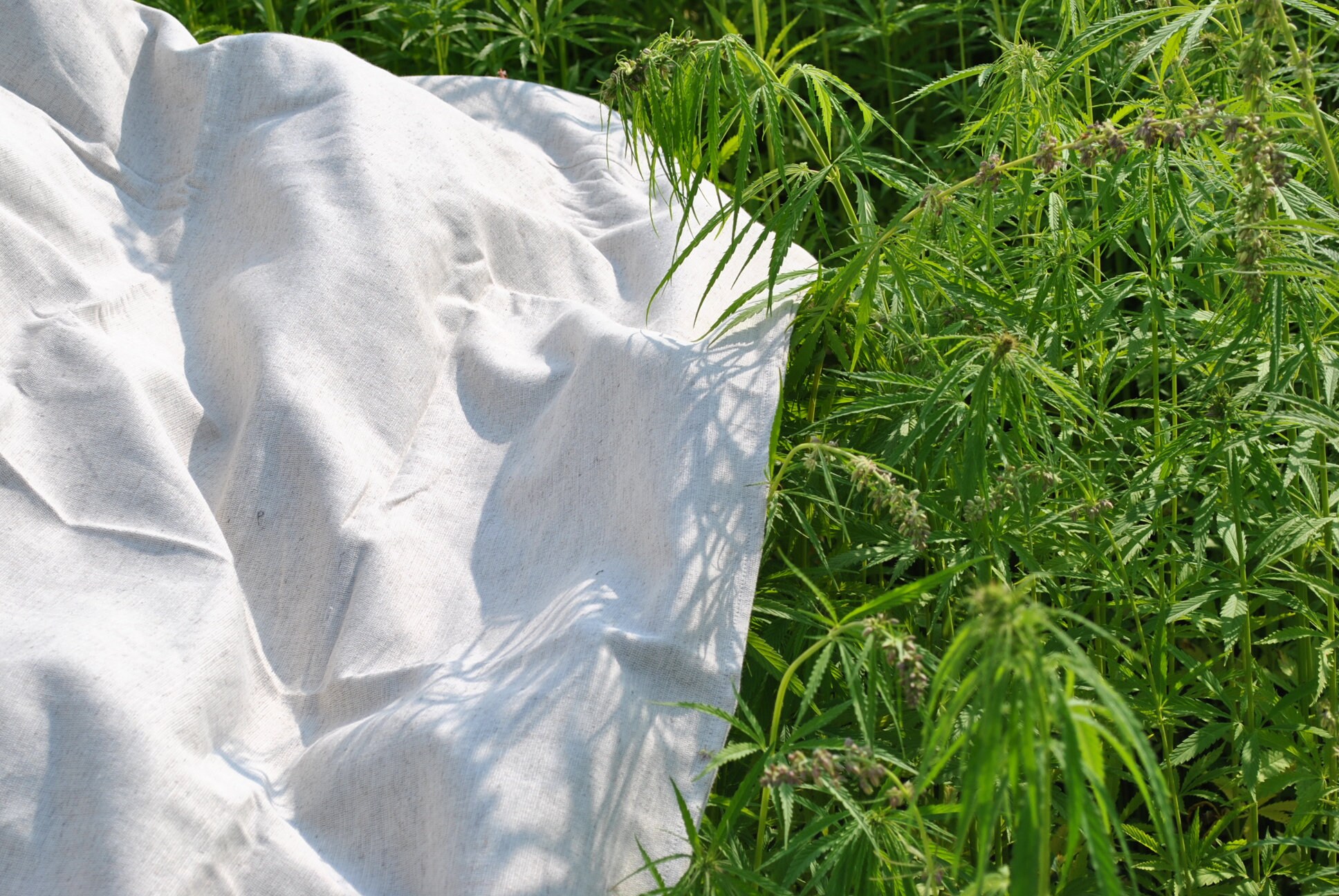 Organic hemp hemp/bed sheet/hemp fabric/ Hemp Etsy