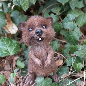 Naaldvilte quokka. Realistische lachende quokka