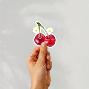 Cute Cherry Sticker Aesthetic Fruit Vinyl Sticker for Laptop Water Bottle Journal