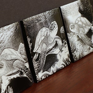 Schildkröte Graustufen Bilder für die Lasergravur, digitaler Download
