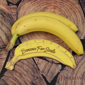 Banane à l'échelle, SVG, téléchargement numérique, fichier de coupe Glowforge, fichier de découpe laser