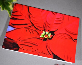 Red Poinsettia Season's Greetings Art Print Card