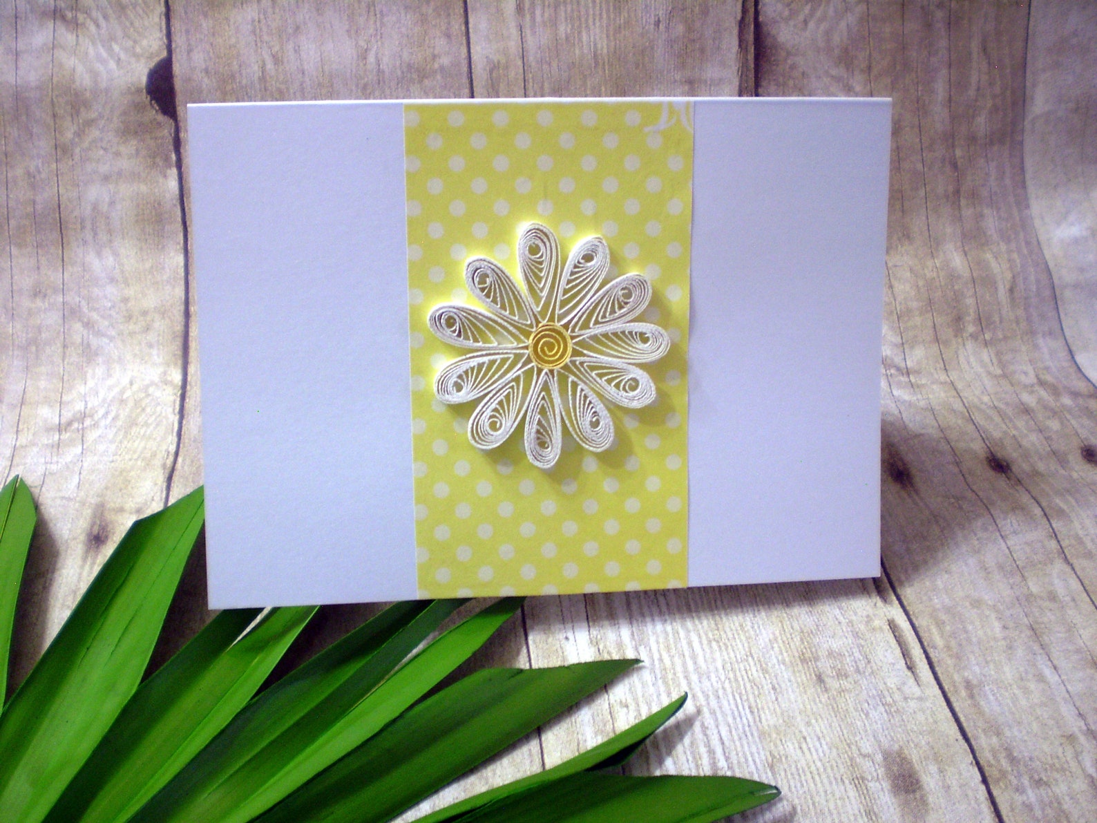 White Paper Quilled Daisy Card Handmade Card for Any Etsy