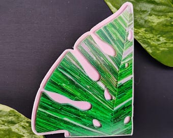 Variegated Monstera Leaf Sticker