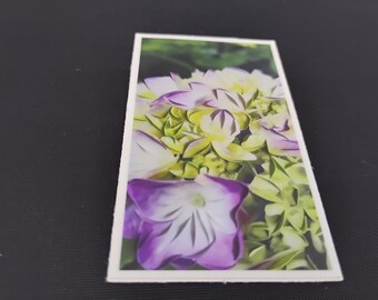 Hydrangea Art sticker